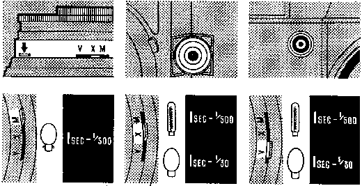RETINA REFLEX - Flash