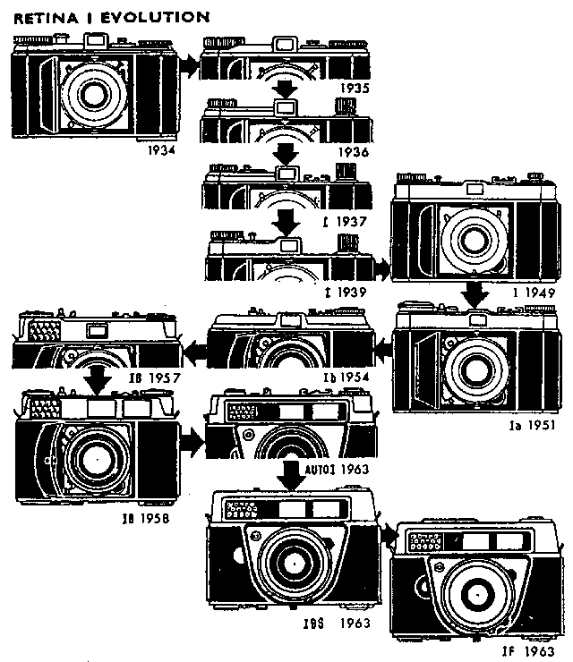 RETINA - Retina Evolution