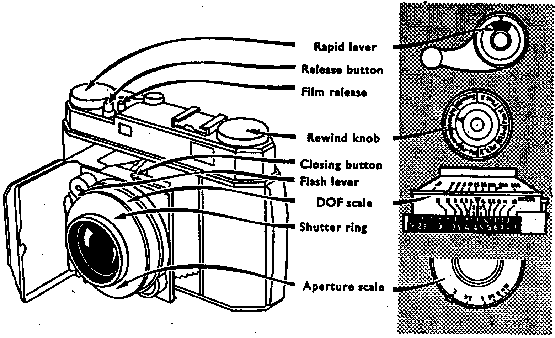The Retina I, Ia, II and IIa