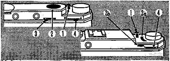 The Retina I, Ia, II and IIa